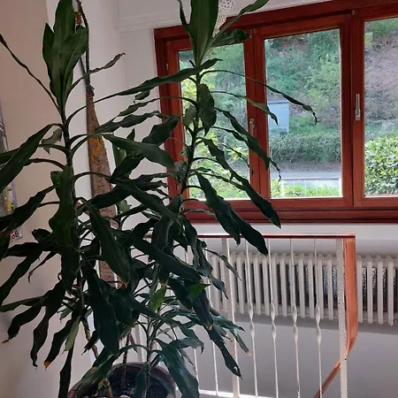 - Im Heilenbecker Tal Apartment