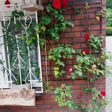 - Im Gruenen Heilenbecker Tal Appartement *