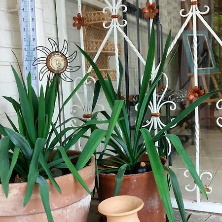 - Im Gruenen Heilenbecker Tal * Ennepetal