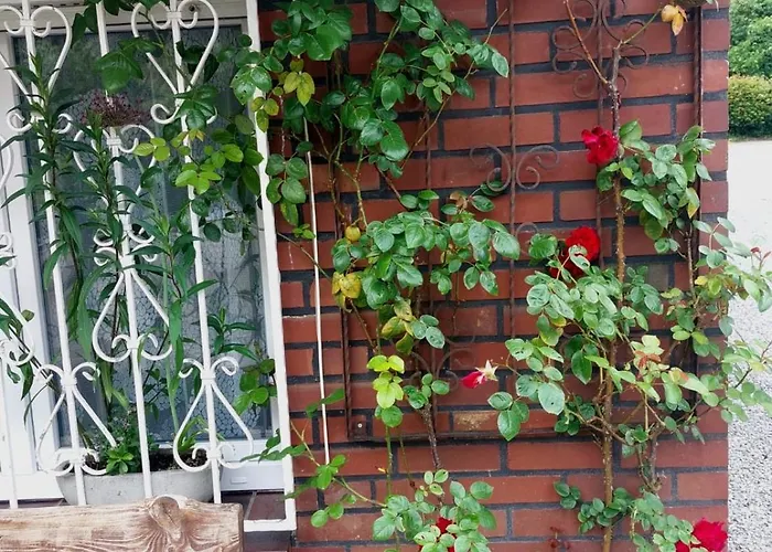 - Im Gruenen Heilenbecker Tal Apartman *