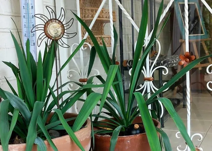 - Im Grünen Heilenbecker Tal * Ennepetal